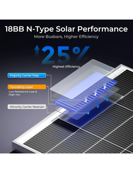 Panel Solar Monocristalino 200W WERCHTAY Alta Eficiencia 12V