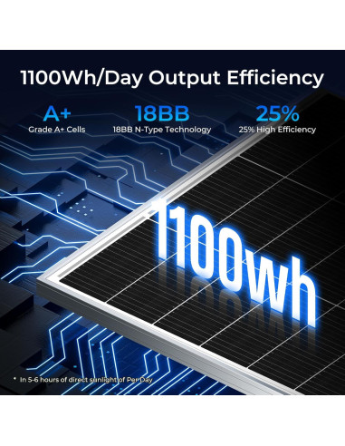 Panel Solar Monocristalino 200W WERCHTAY Alta Eficiencia 12V