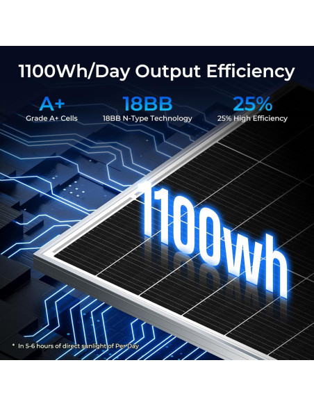 Panel Solar Monocristalino 200W WERCHTAY Alta Eficiencia 12V