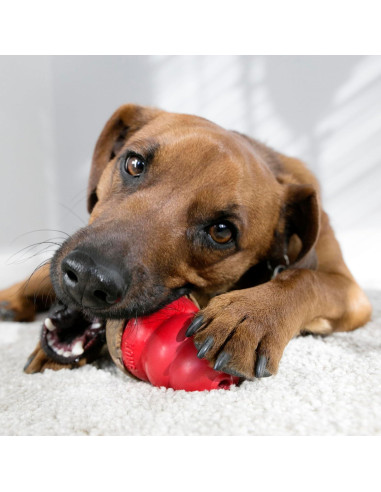 KONG Clásico Juguete Rellenable Mediano + Golosinas Mantequilla