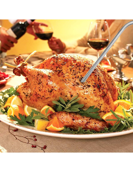 Sonda de Reemplazo Riida 4-Pack Acero Inoxidable 101.6 cm