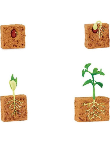 Figuras Educativas Ciclo de Vida Planta Frijol Verde Safari Ltd