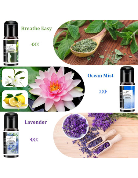 Set de Aceites Esenciales Reborn ap airpleasure - 6x15ml Aromaterapia Set de Aceites Esenciales Reborn ap airpleasure - 6x15ml Aromaterapia