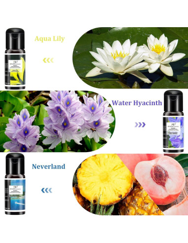 Set de Aceites Esenciales Reborn ap airpleasure - 6x15ml Aromaterapia