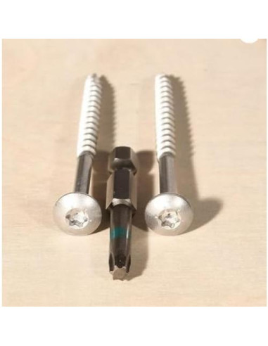 Tornillos de Cabeza Truss Acero Inoxidable 316 XPO Fasteners 355u