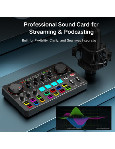 Mezclador de Audio HOSONGIN P300 - Interfaz USB con Efectos 2