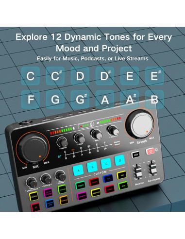 Mezclador de Audio HOSONGIN P300 - Interfaz USB con Efectos