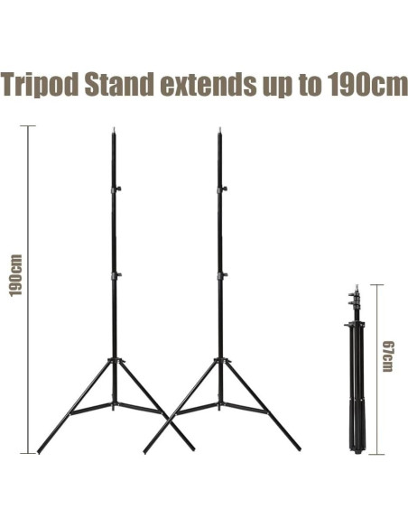 Kit de luces estroboscópicas Godox 600W 2x300W con softbox