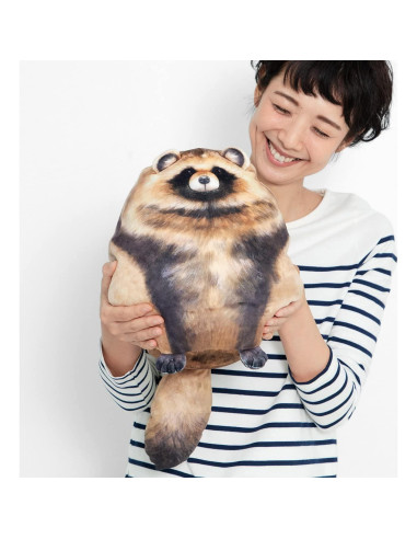 Peluche de Mapache Suave Jason Toys 25.4 cm