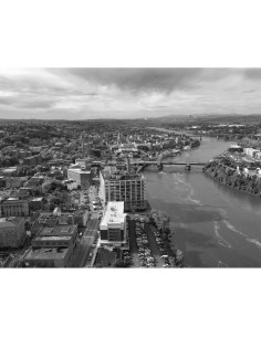 Rompecabezas 1000 Piezas Noah Caperton Swamp Blanco y Negro 2