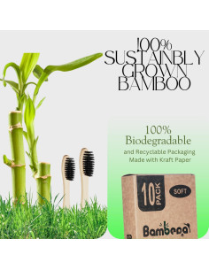 Cepillo de Dientes de Bambú 10 Pack - Cerdas de Carbón Activado 2