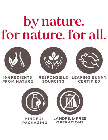 Bálsamo Labial Burt's Bees 4 Tubos 4.25g - Vainilla, Fresa, Coco, Pera