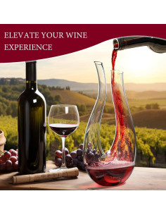 Decantador de Vino de Cristal Gem Tour 750ml Diseño U 2