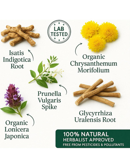 Bolsitas de Té Herbal Herb Guru Cool Down - 24.99g Sin Cafeína