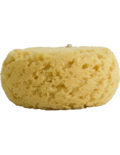 Esponja Corporal Exfoliante Evriholder - Paquete de 2 2