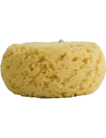 Esponja Corporal Exfoliante Evriholder - Paquete de 2