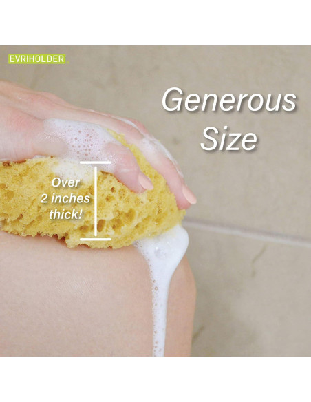 Esponja Corporal Exfoliante Evriholder - Paquete de 2
