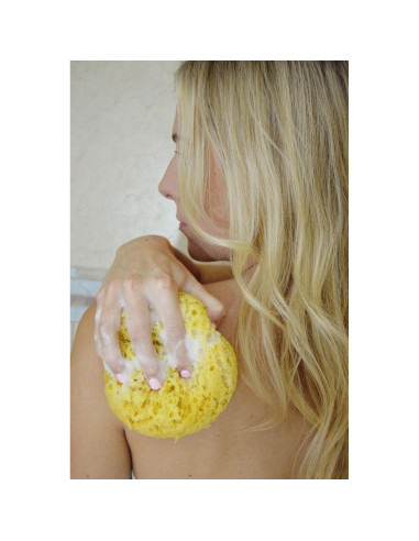 Esponja Corporal Exfoliante Evriholder - Paquete de 2