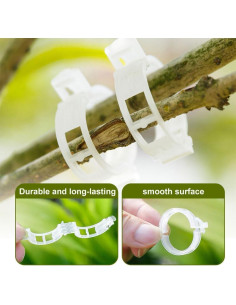 Clips de Soporte para Plantas Yilia 50 Piezas Verde Reutilizables 2