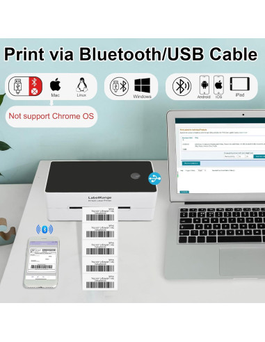 Impresora de Etiquetas Térmicas LabelRange BT620 4x6" 300 DPI