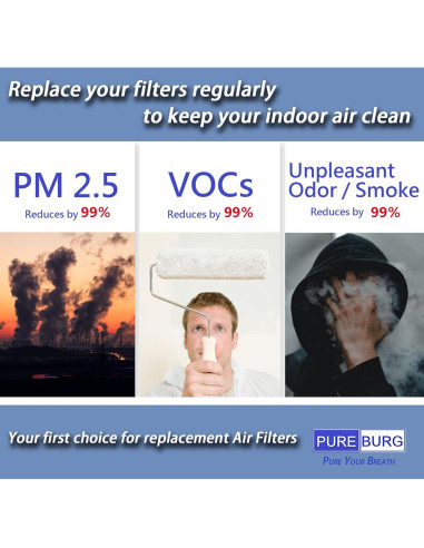 Filtro de Reemplazo PUREBURG AP-T200FL H13 HEPA para Purificador