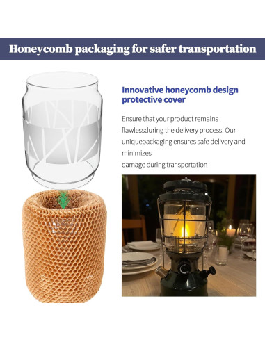 Globo de Linterna de Vidrio Borosilicato Coleman Northstar