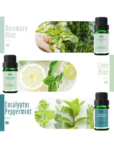 Juego de Aceites Aromáticos Premium MitFlor - Menta 6x10ml