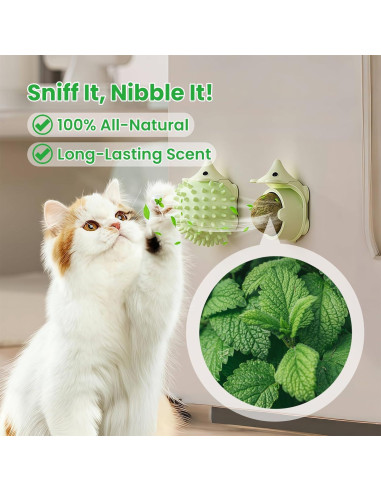 Juguetes de Hierba Gatera Petinstinct 3 Conchas 6 Bolas