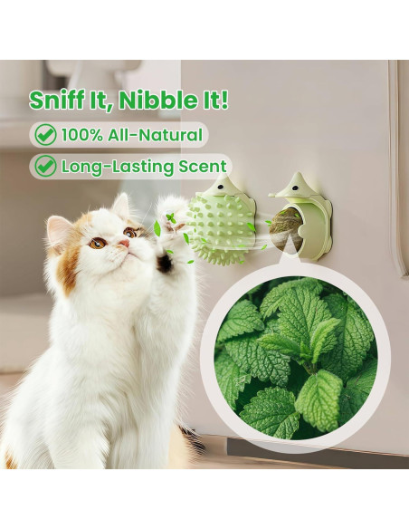 Juguetes de Hierba Gatera Petinstinct 3 Conchas 6 Bolas