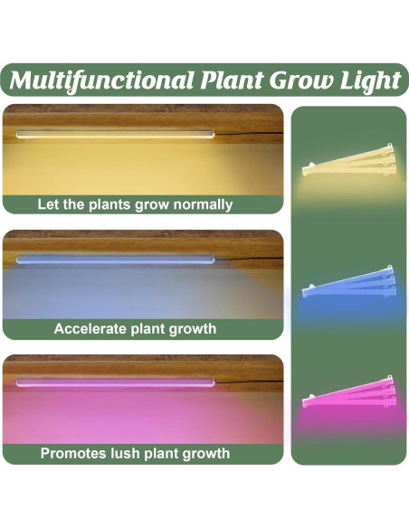 Soporte de Plantas XPIY 152 cm con Luces de Crecimiento 8 Niveles