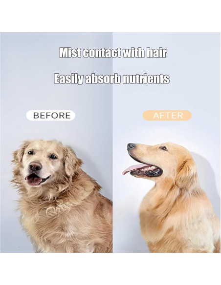 Cepillo de Vapor para Mascotas 6 en 1 ORO ROSA - Peine y Spray