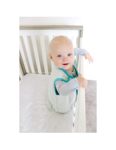 Saco de dormir Baby Deedee Sleep Nest 0-6 meses Azul 2