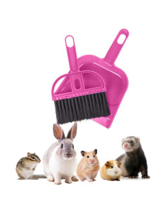 Juego de Escoba y Recogedor Mini 2 Brothers Rosa 19.5x13 cm