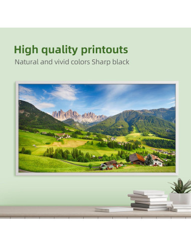 Paquete de 10 Cartuchos de Tinta Brother LC103XL Compatibles