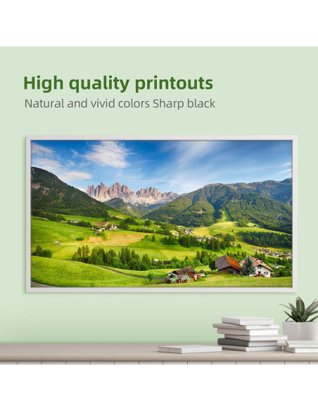 Paquete de 10 Cartuchos de Tinta Brother LC103XL Compatibles Paquete de 10 Cartuchos de Tinta Brother LC103XL Compatibles