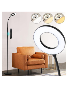 Lámpara de Pie LED Homakee 12W 1000LM Ajustable con Control Remoto