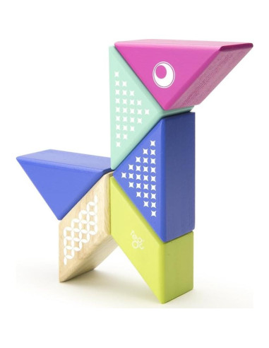 Juego de Bloques Magnéticos Tegu Colibrí 6 Piezas para Viajar