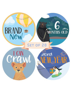 Calcomanías Mensuales para Bebés RubyRoo - Aventura - 28 Piezas