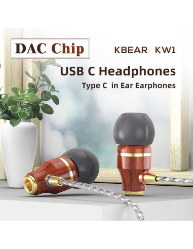 Auriculares KBEAR KW1 USB Tipo C In Ear con Micrófono y Control