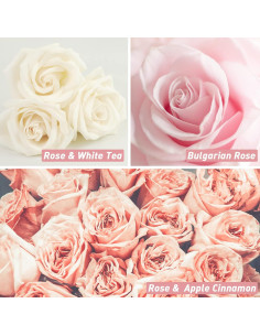 Set de Aceites de Fragancia Rosa ESSLUX 6x10ml Aromaterapia 2