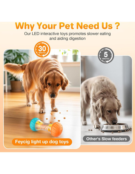 Juguete interactivo LED para perros Feycig LP006 - Estimulación mental