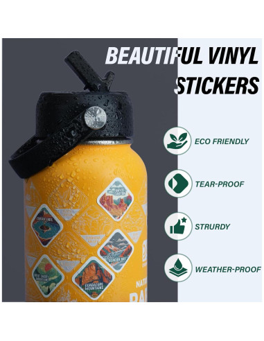 Botella de Agua Aislada DYSANKY 32 oz Acero Inoxidable Amarillo