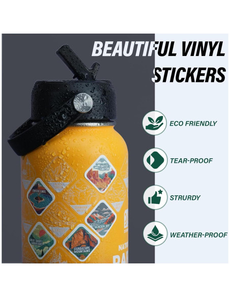 Botella de Agua Aislada DYSANKY 32 oz Acero Inoxidable Amarillo