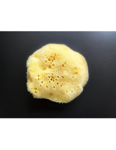 Esponja de Seda Fina Natural para Bebés Contented Infant 10-11cm 2