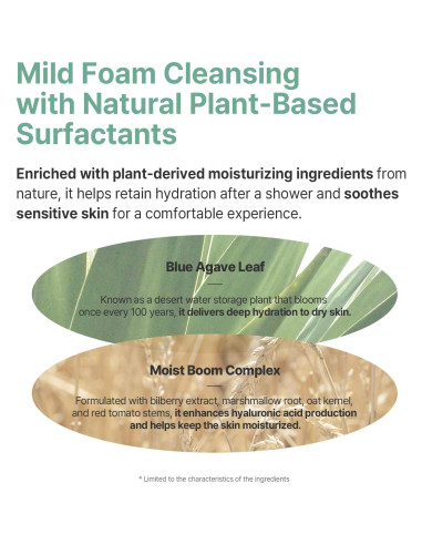 Champú y Lavado Todo en Uno AVCA 500ml para Bebés Piel Sensible