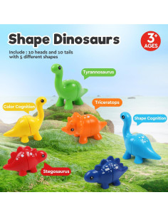 Juguete Montessori Dinosaurios GKD - Emparejamiento y Colores 2