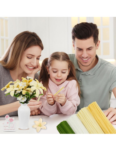 Kit de Manualidades 400 Piezas Limpiapipas Chenille Upcheirna