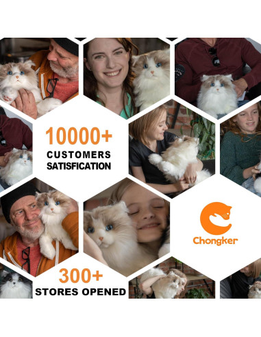 Gato de Peluche Realista Chongker Ragdoll 40 cm Hecho a Mano