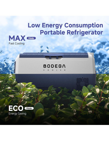 Refrigerador de Coche BODEGA T36T-RB 38L Control APP -20C