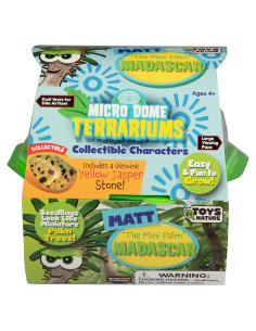 Kit de Terrario de Palma Mini Toys by Nature con Suministros